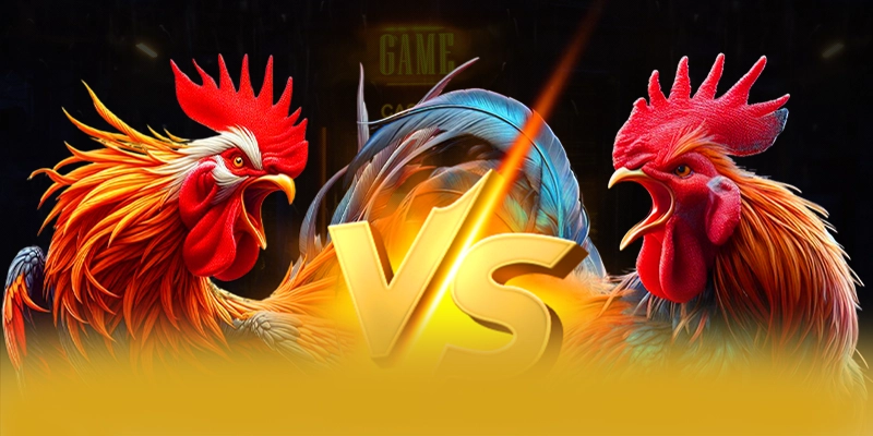 BET168 - Nhà cái sở hữu kho game phong phú trên thị trường BET168 - Nhà cái sở hữu kho game phong phú trên thị trường