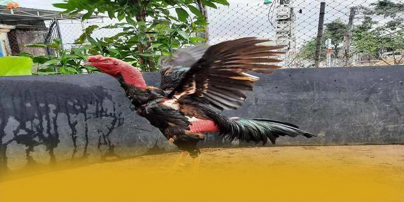 8xbet - Sảnh game sở hữu kho game phong phú 2026 8xbet - Sảnh game sở hữu kho game phong phú 2026